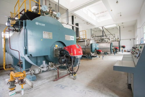 中正鍋爐匠心打造高效燃氣鍋爐系統(tǒng)，助力三易食品節(jié)能降耗