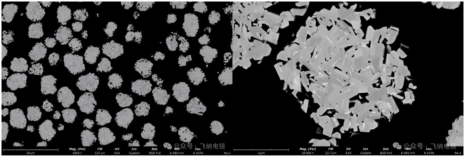 鈉離子電池正極材料與鋰離子電池材料的掃描電鏡對(duì)比研究