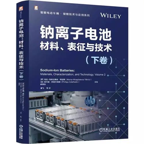 鈉離子電池與鋰離子電池材料 比較與表征技術(shù)